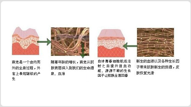 面部青春术(图7)
